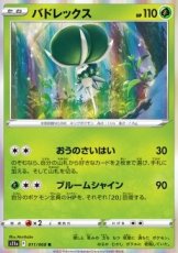Calyrex Holo (s11a 011)