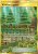 Viridian Forest (UNM 256)
