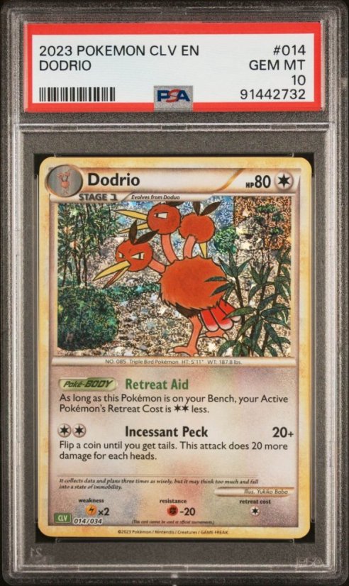 Dodrio CLV 014/034 PSA 10