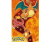 Plakát Pokemon - Fire Type