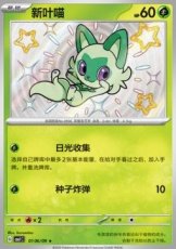 Sprigatito (CBB1C 01)