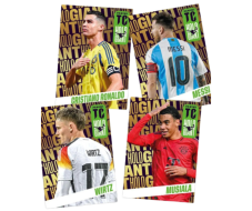 PANINI TOP CLASS 2025 - karty