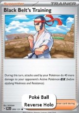 Black Belt's Training (xPRE 099)
