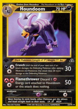 Houndoom (NDI 23) - EX