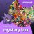 Pokémon JAPONSKÝ Mystery box
