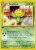 Sunflora (NG 50)