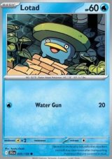 Lotad Non holo/Reverse holo (JTG 035)